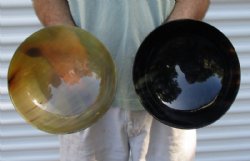 2 pc lot of Polished Buffalo Horn, Ox Horn bowls measuring 8 inches long For Sale for $35/lot 
