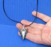 Fossil Great White shark tooth necklace - You will receive the one in the photo for $20