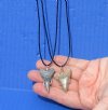 2 pc lot of Fossil Mako shark tooth necklaces - You will receive the ones in the photo for $35