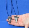 2 pc lot of Fossil Mako shark tooth necklaces - You will receive the ones in the photo for $39