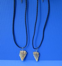 2 pc lot of Fossil Mako shark tooth necklaces - $39