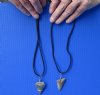 2 piece lot of Fossil Great White and Mako shark tooth necklaces - You will receive the ones in the photo for $39/lot