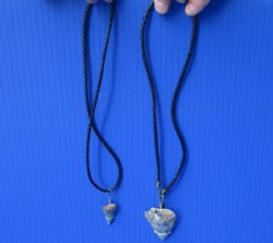 2 piece lot of Fossil Great White shark tooth necklaces - $39/lot