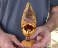9-1/2 inch Real dried Piranha Fish from South America on a wood display base for $54.00 