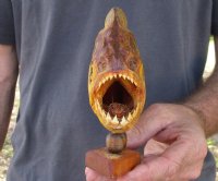 9-1/4 inch Real dried Piranha Fish from South America on a wood display base (You are buying the piranha shown) for $54.00 (will have some tiny small holes in the skin)