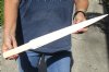 Polished Swordfish Bill carved into a sword, 20 inches long (You are buying the sword in the photo) for $70