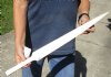 Polished Swordfish Bill carved into a sword, 24 inches long (You are buying the sword in the photo) for $85