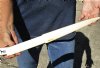 Polished Swordfish Bill carved into a sword, 15 inches long (You are buying the sword in the photo) for $60