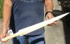 Polished Swordfish Bill carved into a sword, 22 inches long (You are buying the sword in the photo) for $70