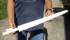 Polished Swordfish Bill carved into a sword, 24 inches long (You are buying the sword in the photo) for $85
