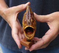 #2 Grade 8-1/4 inch Real dried Piranha Fish from South America on a wood display base (You are buying the piranha shown) for $29.00 (damaged tail - will have some tiny small holes in the skin)