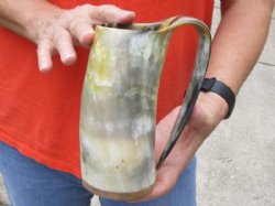 Polished Buffalo Horn Mug, Cow Horn Mug with wood base/bottom measuring approximately 7 inches tall. Available for purchase for $27