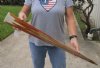 34 inch Semi-Polished Swordfish bill for making swords, painting, daggers, scrimshaw art - you are buying the one pictured for $65 (base filled with off white epoxy)