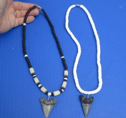 2 pc lot of Coconut bead necklaces with Megalodon shark tooth wrapped with silver wire  - $42/lot