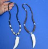 2 pc Coconut bead necklaces with 2-1/2 and 2-3/4 inch Alligator tooth wrapped with a silver color wire - You will receive the ones in the photo for $28/lot