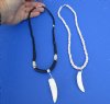 2 pc Coconut bead necklaces with  2 and 2-1/4 inch Alligator tooth wrapped with a silver color wire - You will receive the ones in the photo for $20/lot