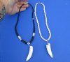 2 pc Coconut bead necklaces with  2-1/4 and 2-3/4 inch Alligator tooth wrapped with a silver color wire - You will receive the ones in the photo for $20/lot