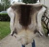 52 inches by 52 inches Finland Reindeer Hide, Skin, farm raised - You are buying this one for $155