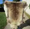 56 inches by 51 inches Finland Reindeer Hide, Skin, farm raised - You are buying this one for $155