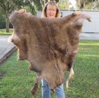 Craft Grade 36 inch by 33 inch Tanned Reindeer hide imported from Finland. You will receive the skin pictured for $65.00