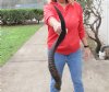 Kudu horn for sale measuring 35 inch, for making a shofar.  You are buying the horn in the photos for $85