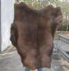 Craft Grade 43 inch by 36 inch Tanned Reindeer hide imported from Finland. You will receive the skin pictured for $75.00