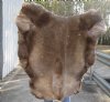 Craft Grade 38 inch by 41 inch Tanned Reindeer hide imported from Finland. You will receive the skin pictured for $75.00
