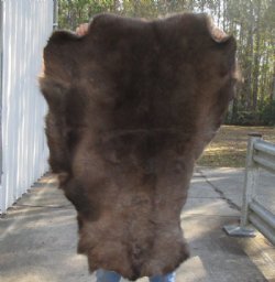 Grade B Reindeer pelt/hide/skin without legs, 46 inches long by 33 inches wide for $95