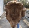 Grade B Reindeer pelt/hide/skin without legs, 46 inches long by 33 inches wide - You will receive the one pictured for $95