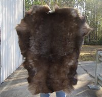 Grade B Reindeer pelt/hide/skin without legs, 43 inches long by 31 inches wide - You will receive the one pictured for $95