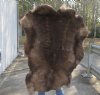 Grade B Reindeer pelt/hide/skin without legs, 48 inches long by 35 inches wide - You will receive the one pictured for $95