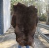 Grade B Reindeer pelt/hide/skin without legs, 45 inches long by 33 inches wide - You will receive the one pictured for $95