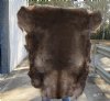 Grade B Reindeer pelt/hide/skin without legs, 46 inches long by 35 inches wide - You will receive the one pictured for $95