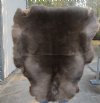 Grade A Reindeer pelt/hide/skin without legs, 43 inches long by 34 inches wide - You will receive the one pictured for $110