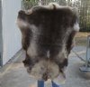 Grade A Reindeer pelt/hide/skin without legs, 45 inches long by 31 inches wide - You will receive the one pictured for $110