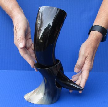 Polished Buffalo Drinking horn with Stand for $11