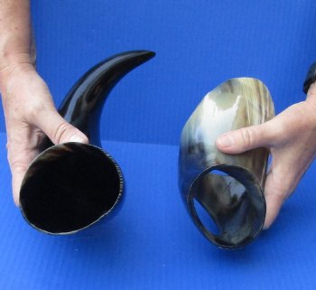 Polished Buffalo Drinking horn with Stand for $11