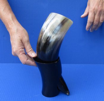 Polished Buffalo Drinking horn with Stand for $11