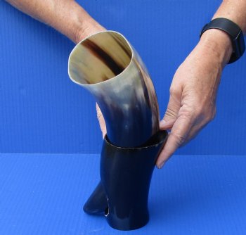 Polished Buffalo Drinking horn with Stand for $11