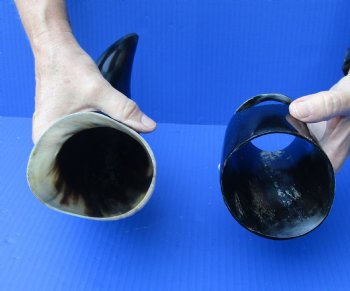 Polished Buffalo Drinking horn with Stand for $11