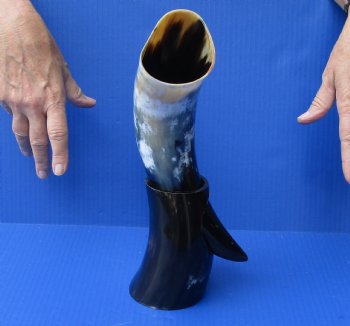 Polished Buffalo Drinking horn with Stand for $11