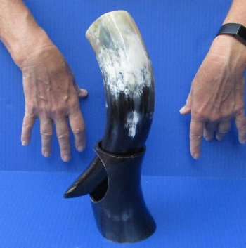 Polished Buffalo Drinking horn with Stand for $11