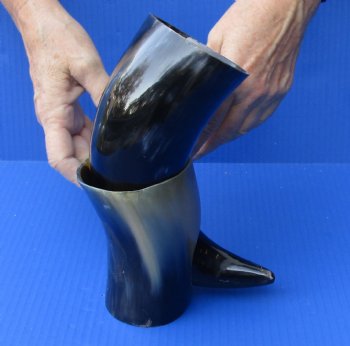 Polished Buffalo Drinking horn with Stand for $11