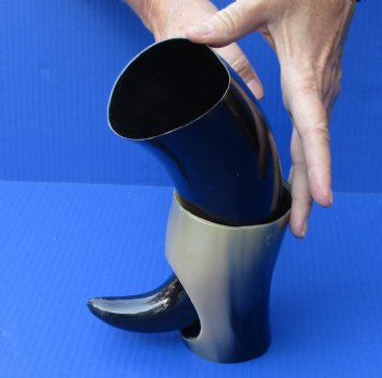 Polished Buffalo Drinking horn with Stand for $11