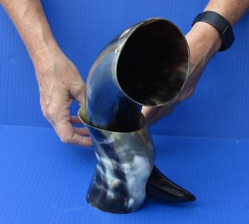 Polished Buffalo Drinking horn with Stand for $11