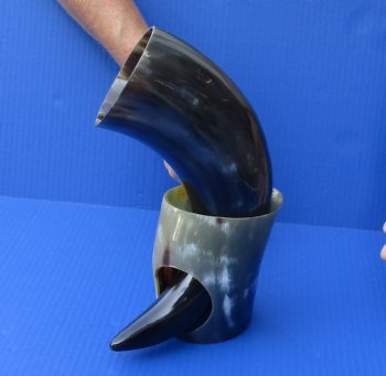 Polished Buffalo Drinking horn with Stand for $11