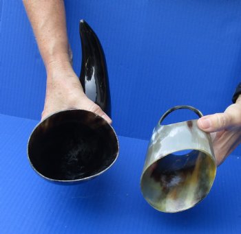 Polished Buffalo Drinking horn with Stand for $11