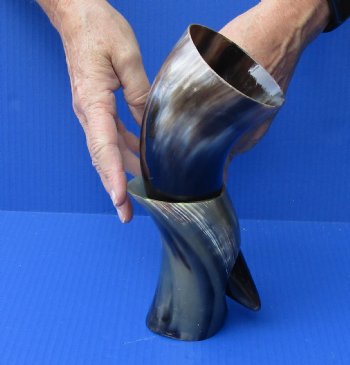Polished Buffalo Drinking horn with Stand for $11