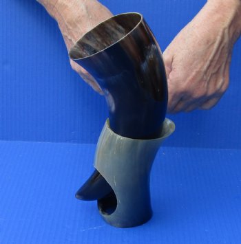 Polished Buffalo Drinking horn with Stand for $11
