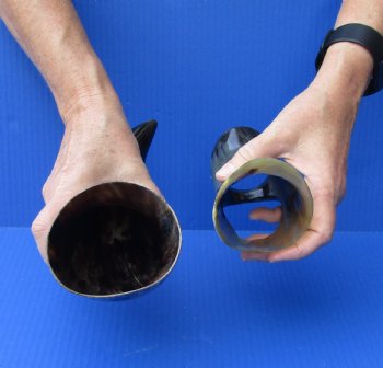 Polished Buffalo Drinking horn with Stand for $11